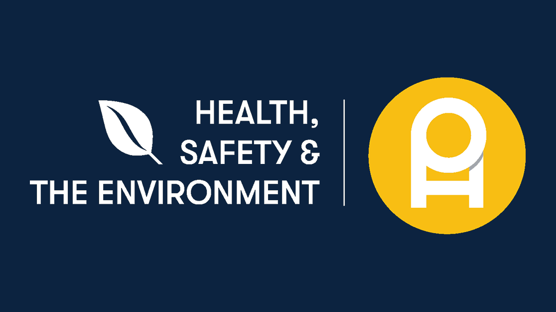 Primary 2.0 Logo Reversed