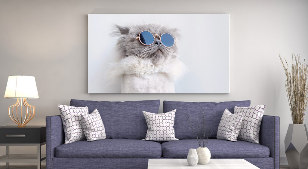 Canvas print of cat in round sunglasses hung on beige living room wall behind dark grey couch with throw pillows.