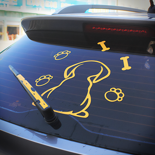 Decals & Magnets (Car)