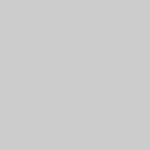 P COOL GRAY 2