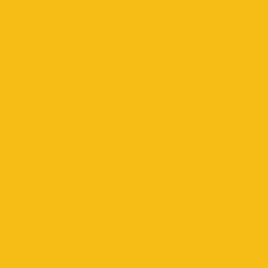 PANTONE 7408 C